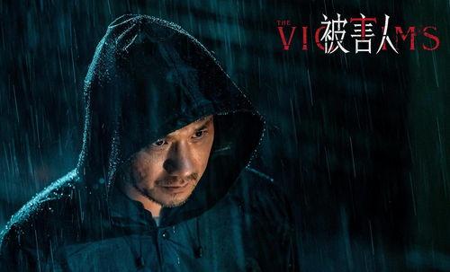 国产电影被害人在线观看,揭秘网络观看背后的惊悚故事