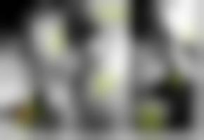 国产成合亚洲欧美在线