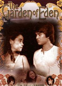 伊甸园视频国产在线观看,国产在线观看，探索禁忌之地的奇幻之旅