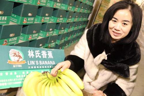 在线观看国产精品香蕉,在线观看的视觉盛宴