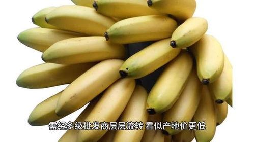 国产在线 香蕉,香蕉,带你领略国产影视的无限魅力